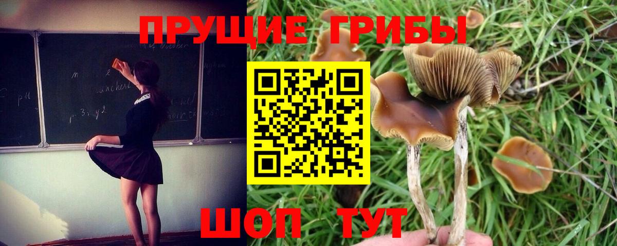 Псилоцибиновые грибы ЛСД Мценск